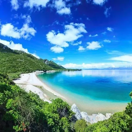 فيلة Maestro سريسر