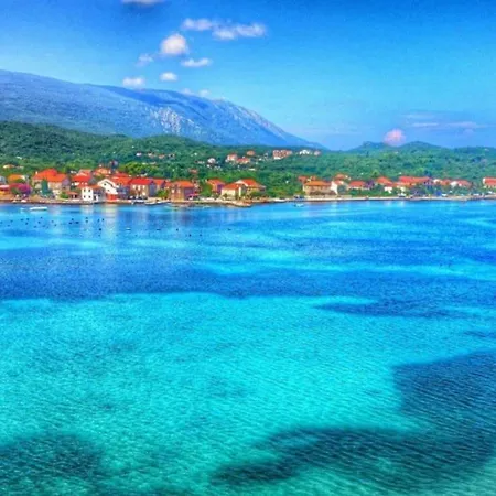 Maestro فيلة سريسر