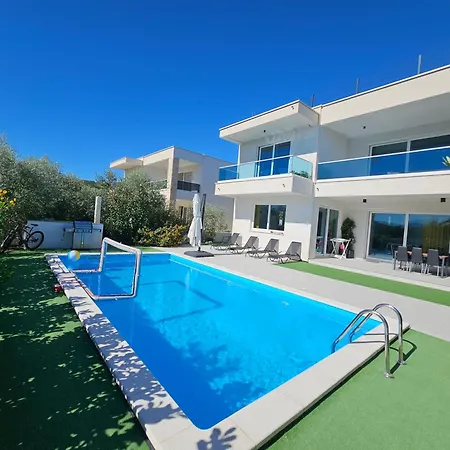 Maestro * سريسر