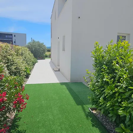 Maestro فيلة سريسر