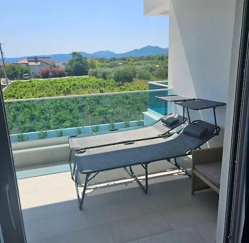 Maestro * 斯瑞瑟尔