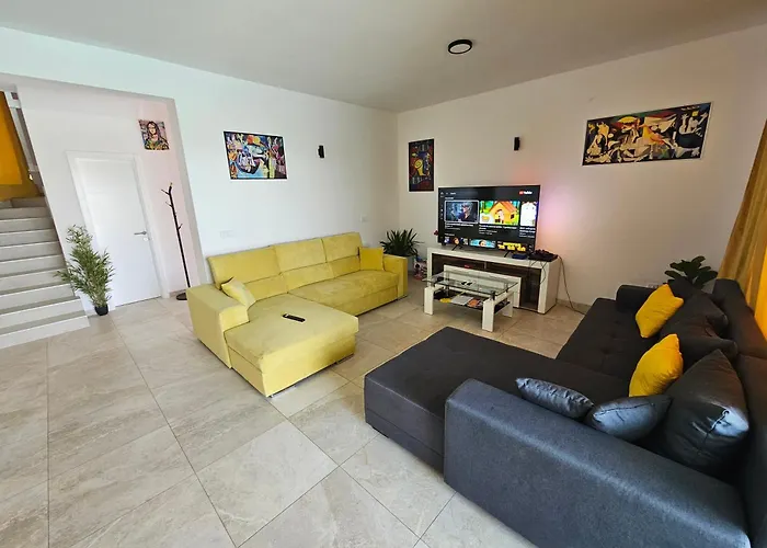 Maestro 斯瑞瑟尔