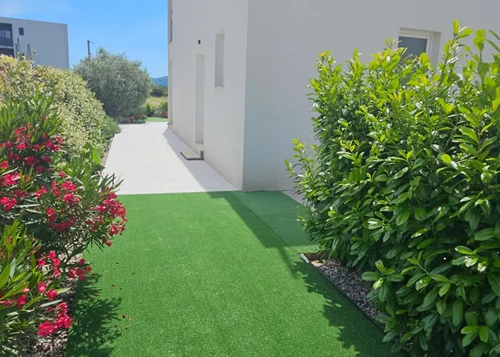 Maestro 斯瑞瑟尔