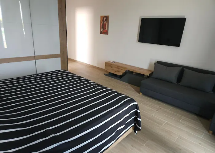 Maestro * 斯瑞瑟尔