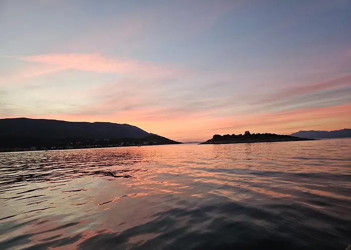 Maestro * 斯瑞瑟尔