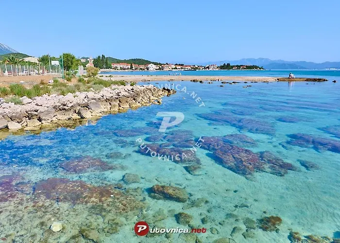 Maestro 斯瑞瑟尔